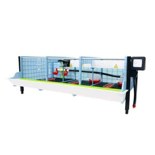 Nivel Adicional Criadora (H: 25 cm) | Eggceterra