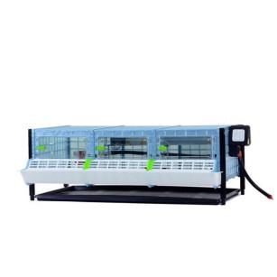 Nivel Adicional Criadora (H: 25 cm) | Eggceterra