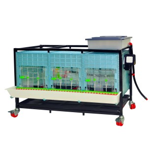 Criadora de Pollitos 1 Nivel (H:40 cm) | Crianza Fácil