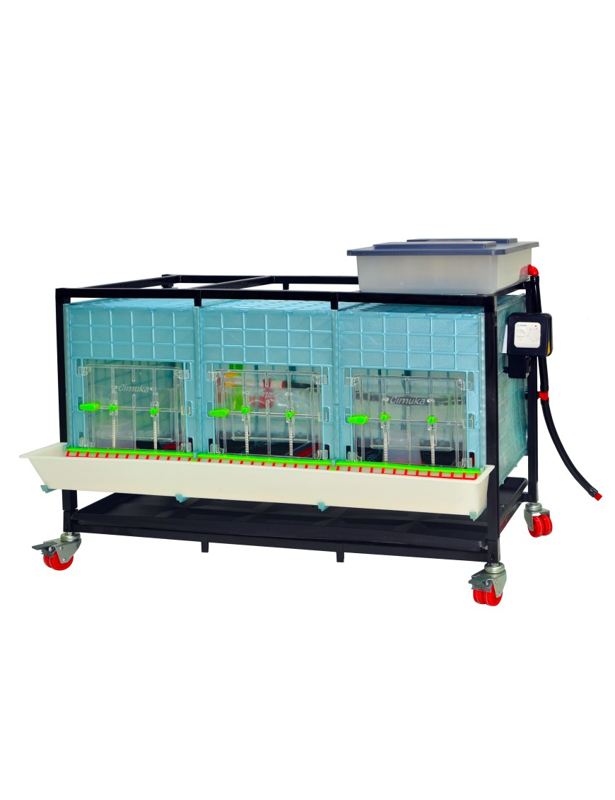 Criadora de Pollitos 1 Nivel (H:40 cm) | Crianza Fácil