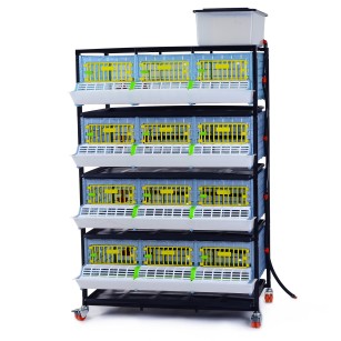 Jaula de Crecimiento 4 Niveles (H: 25 cm) - Cría Fácil