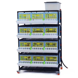 Jaula de Crecimiento 4 Niveles (H: 25 cm) - Cría Fácil