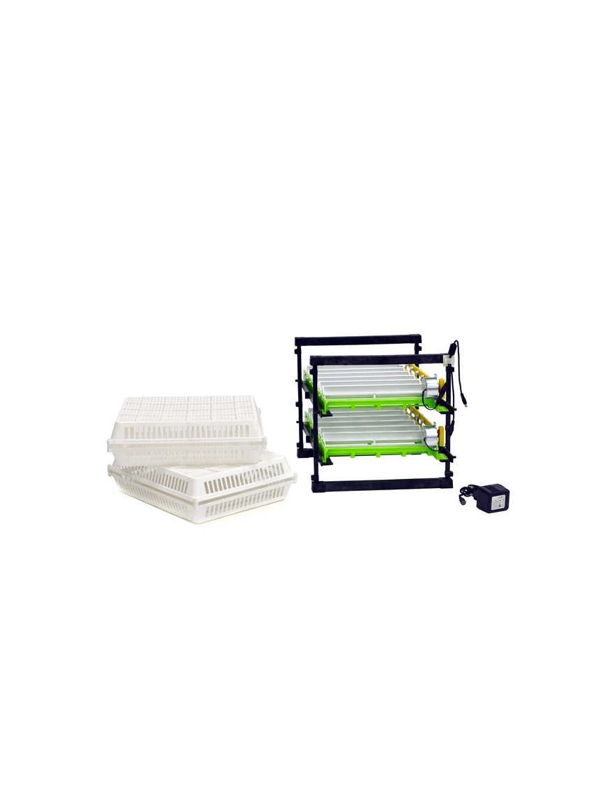 Volteador de 60 Huevos para Incubación y Cría