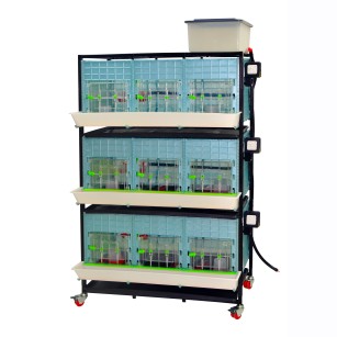 Criadora de Pollitos 3 Niveles (H: 40 cm) - Cría Óptima