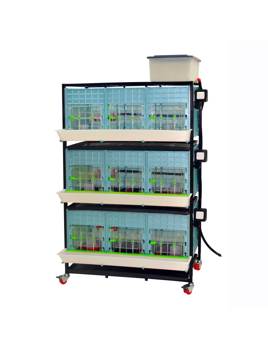 Criadora de Pollitos 3 Niveles (H: 40 cm) - Cría Óptima