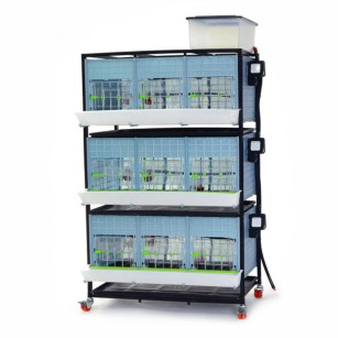 Criadora de Pollitos 3 Niveles (H: 40 cm) - Cría Óptima