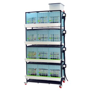 Criadora 4 Niveles (H:40 cm) | Cría de Pollitos