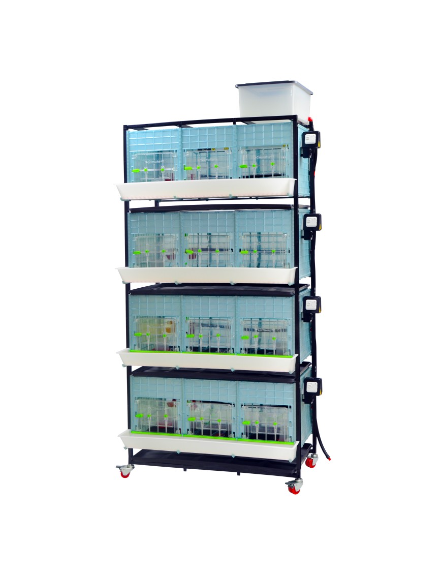 Criadora 4 Niveles (H:40 cm) | Cría de Pollitos