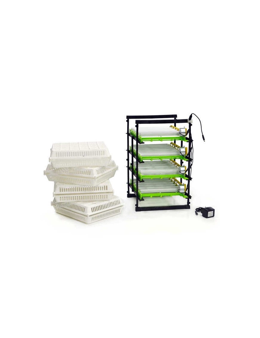 Estación de Volteo 120 Huevos | Calidad Eggceterra