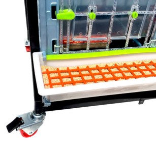 Criadora 4 Niveles (H:40 cm) | Cría de Pollitos