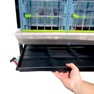 Criadora 4 Niveles (H:40 cm) | Cría de Pollitos