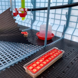 Criadora 4 Niveles (H:40 cm) | Cría de Pollitos