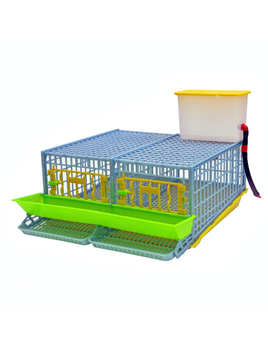 Jaula Para Codornices Ponedoras 2 Secciones