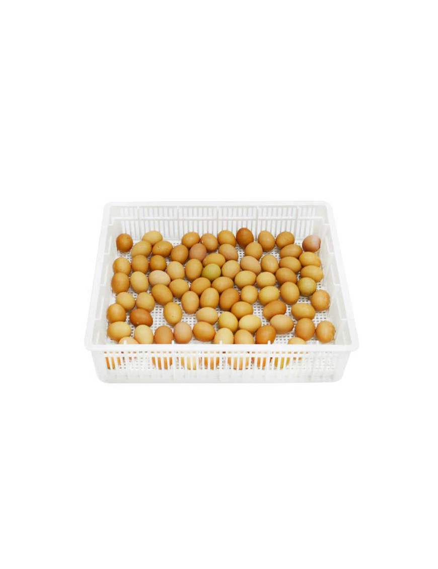 Cesta de Eclosión 80 Huevos CS80Y - Para Cría