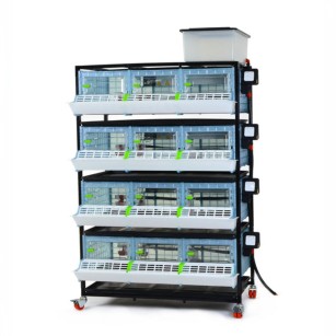 Criadora de Pollitos 4 Niveles (H: 25 cm) - Cría Fácil