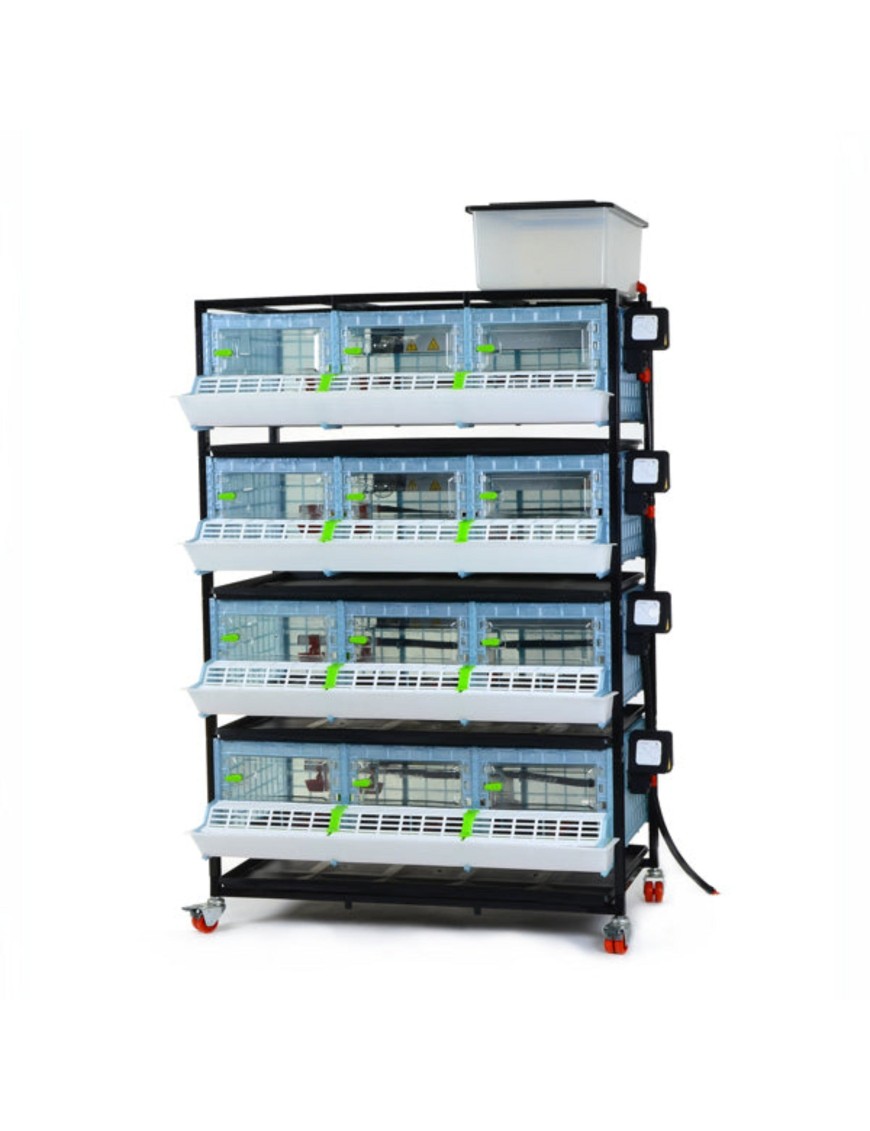 Criadora de Pollitos 4 Niveles (H: 25 cm) - Cría Fácil