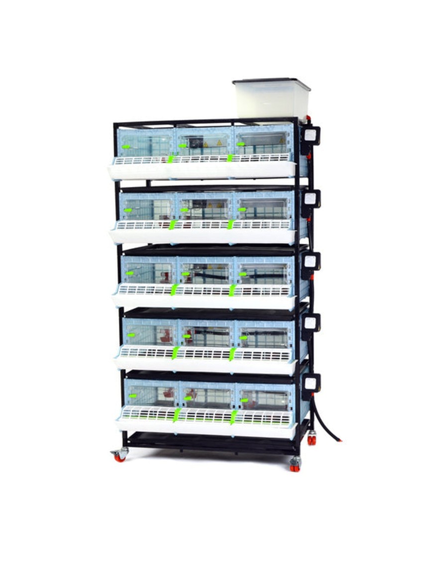 Criadora de Pollitos 5 Niveles (H: 25 cm) - Crianza Óptima