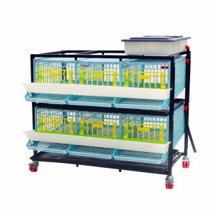 Jaula para Codornices Ponedoras de 2 Pisos