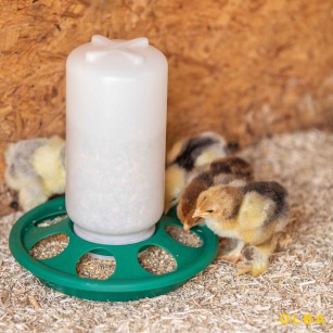 Comedero para Pollitos y Codornices 1 kg - Cierre de Rosca