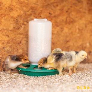 Comedero para Pollitos y Codornices 1 kg - Cierre de Rosca