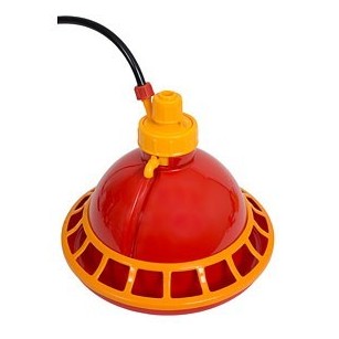 Bebedero Automático Para Pollitos - Avicultura