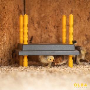Placa Térmica para Pollitos 25 x 25 cm | Cría