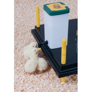 Bebedero de Tetina para Pollitos - Experto en Cría