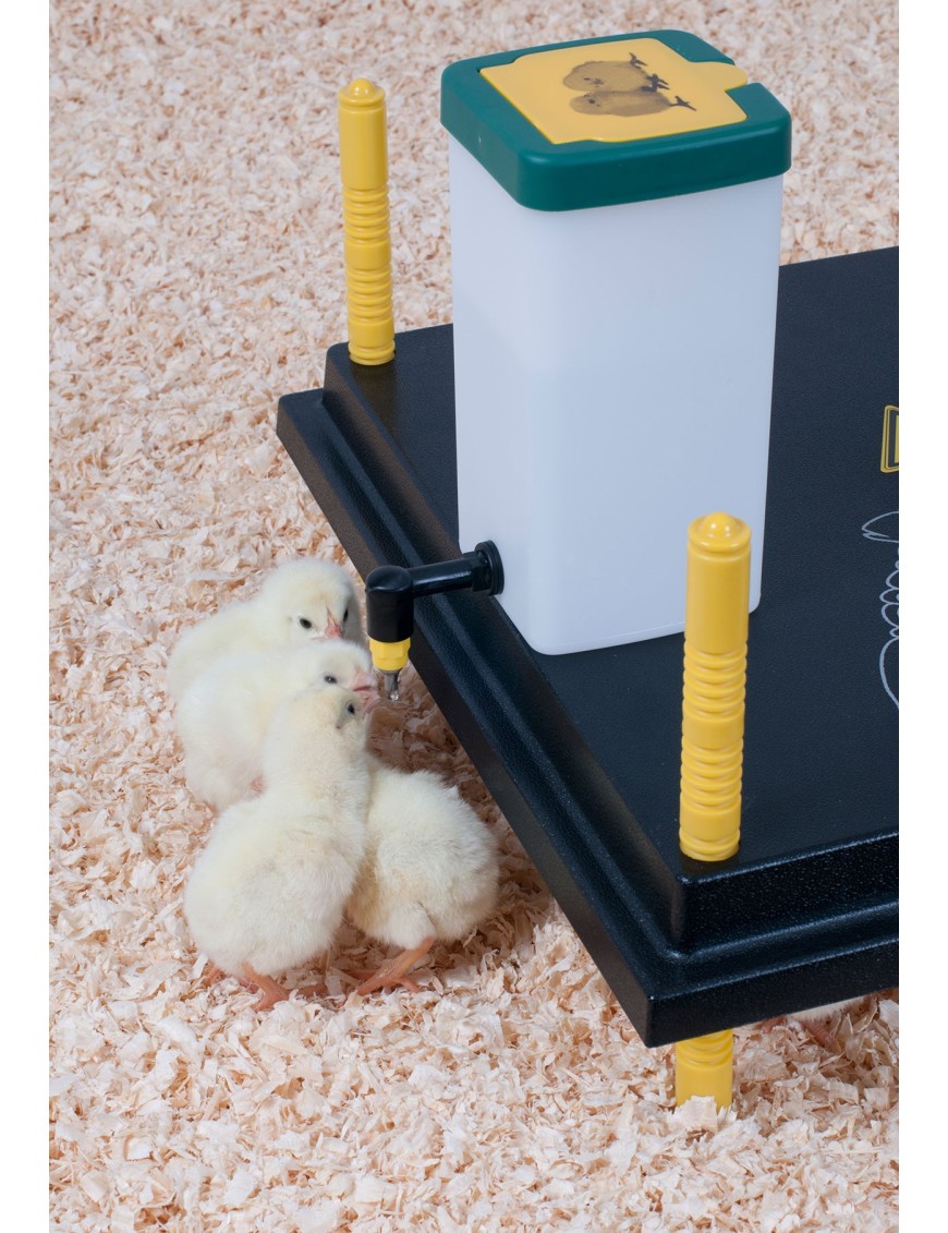 Bebedero de Tetina para Pollitos - Experto en Cría