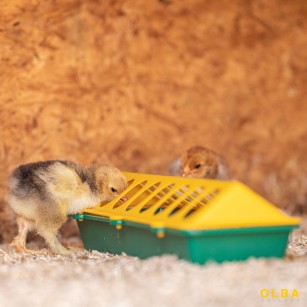 Comedero Pollitos 30 cm Tapa 16 Agujeros