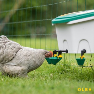 Bebedero Gallinas AviAqua 8 Litros + Cazoletas con Flotador