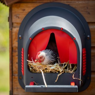 Ponedero MyCosyNest Rojo | Expertos en Cría