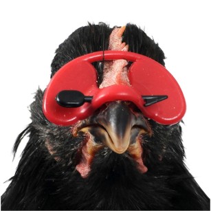 Gafas Antipicaje Modelo Pequeño 25 Piezas