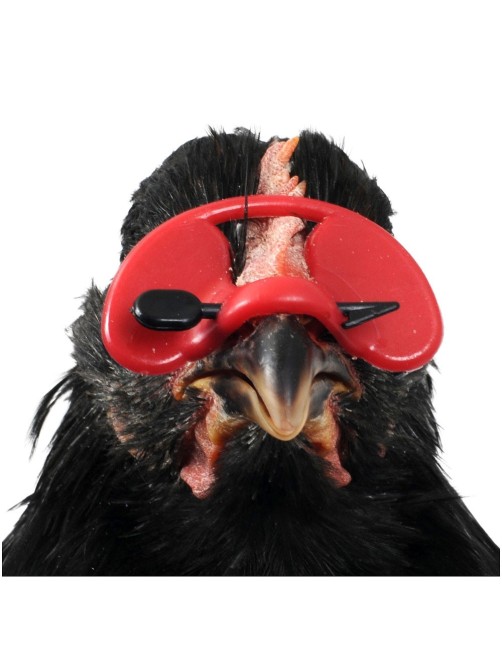 Lot De 200 Lunettes Anti-Picage Pour Poulets Et Faisans – Protection Efficace Et Durable
