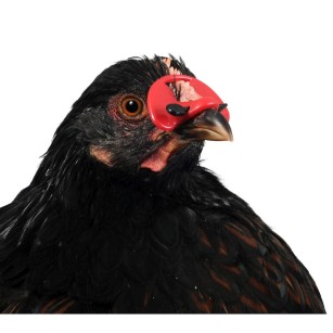 Gafas Antipicaje Modelo Pequeño 25 Piezas