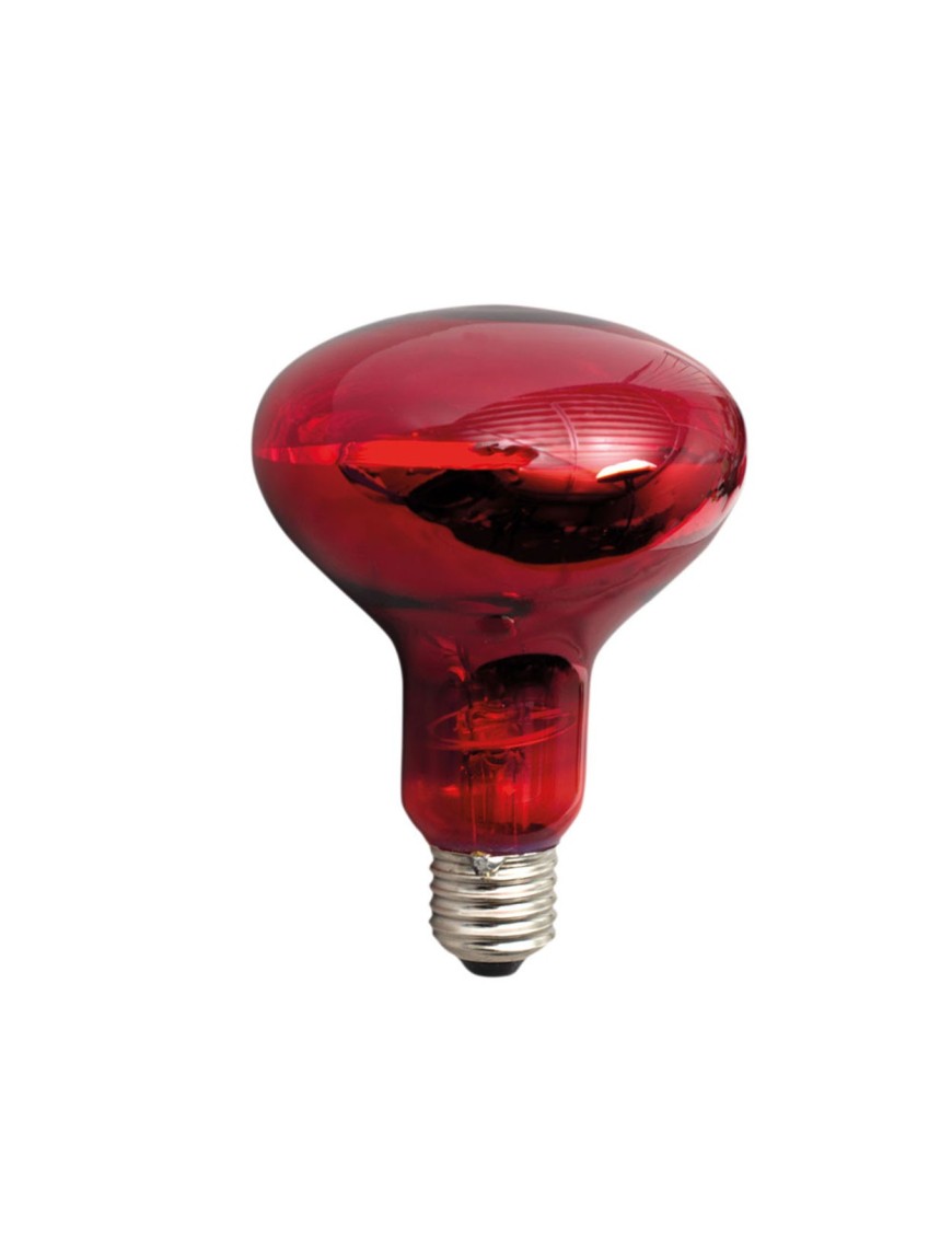 Bombilla Calefactora Infrarroja Powerheat 100 W