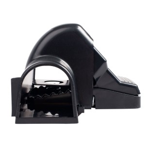 Trampa para Ratas Segura - Eficacia y Seguridad