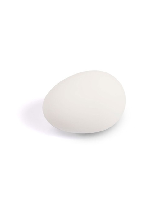 Plastique Dur Œufs Factices Pour Pigeons - Lot De 10 œufs Blancs En Plastique Dur œufs Factices Pigeons