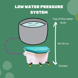 Bebedero Automático para Gallinas AviAqua 8L + 3 Pipetas