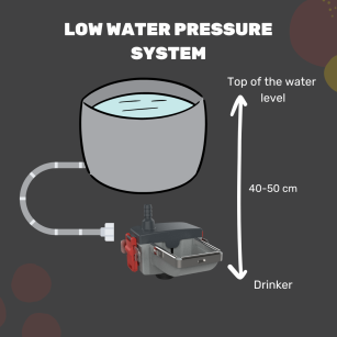 Bebedero Automático para Gallinas y Conejos Easyfix