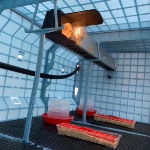 Calefactor Radiante para Criadora - Calor Seguro