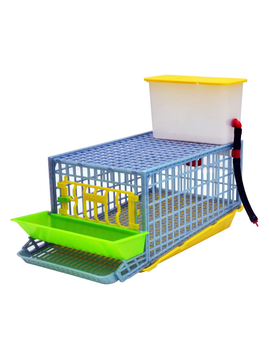 Jaula para Codornices Ponedoras 1 Sección