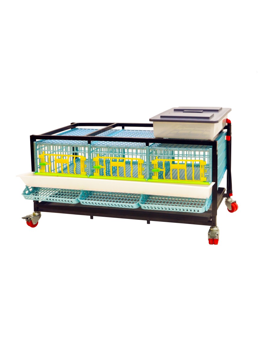 Jaula Para Codornices Ponedoras Jumbo 1 Nivel