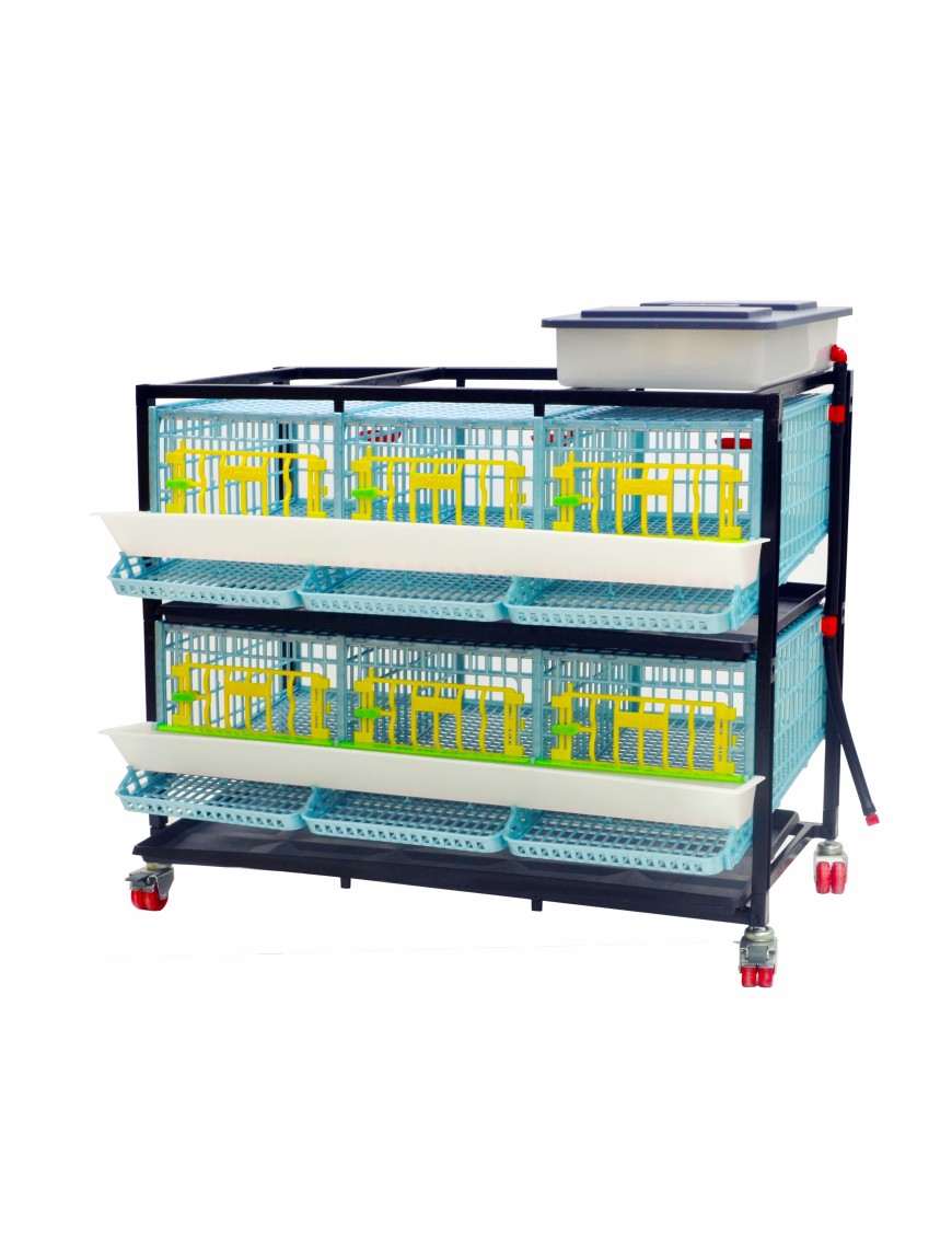 Jaula para Codornices Ponedoras Jumbo 2 Pisos