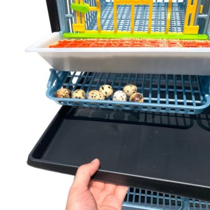 Jaula para Codornices Ponedoras Jumbo 2 Pisos