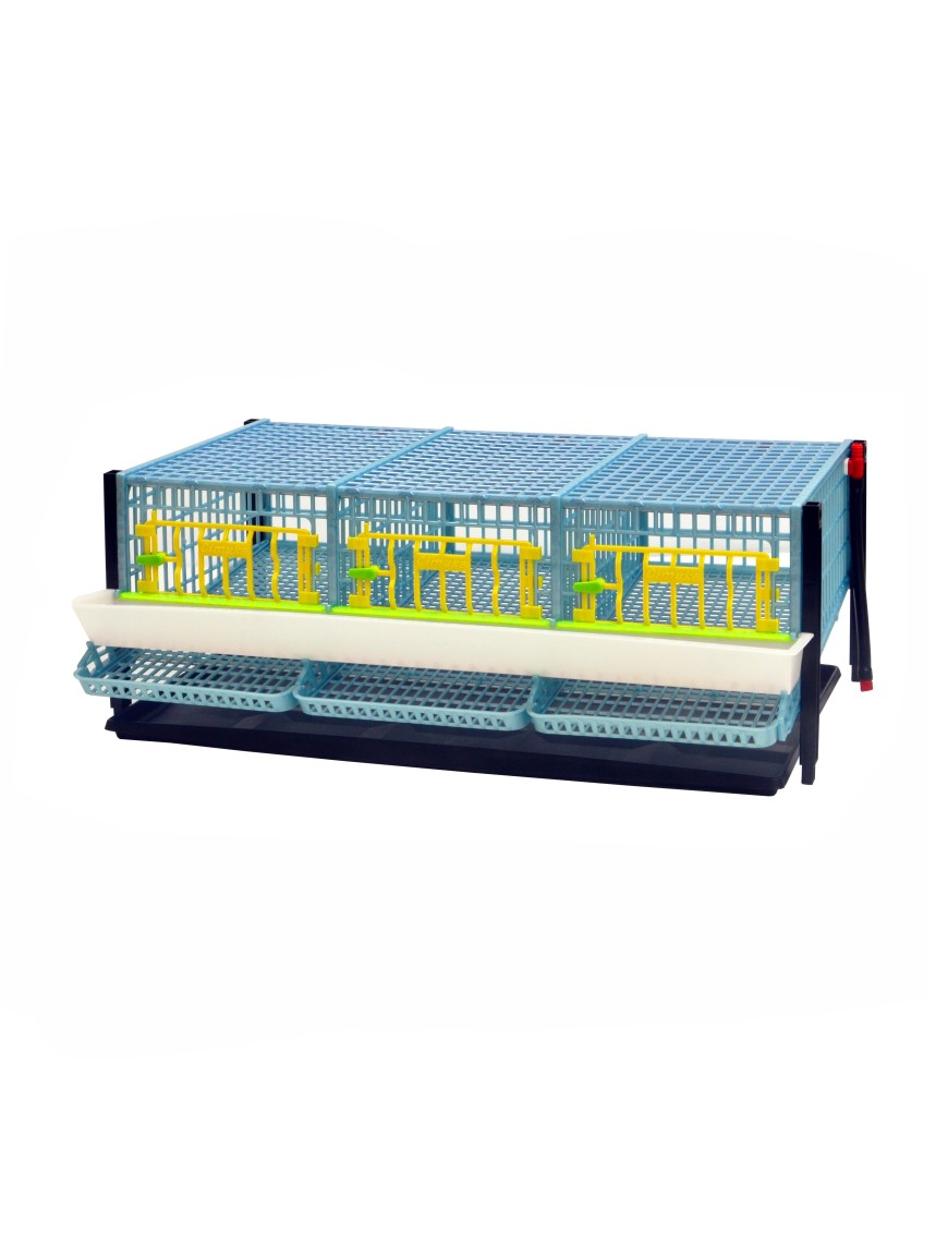 Jaula Para Codornices Ponedoras Jumbo Piso Adicional