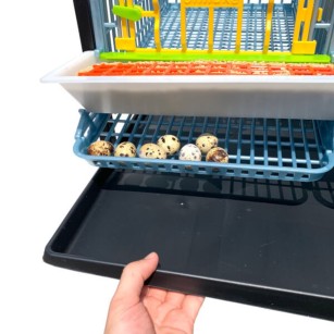 Jaula Para Codornices Ponedoras Jumbo Piso Adicional