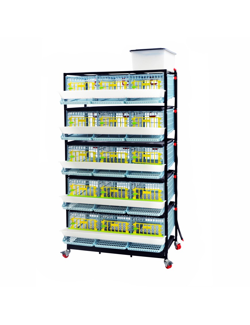 Jaula Para Codornices Ponedoras Jumbo 5 Pisos - Cría Pro