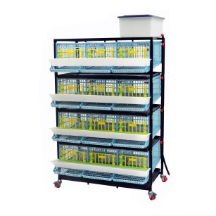 Jaula Para Codornices Ponedoras Jumbo 4 Niveles