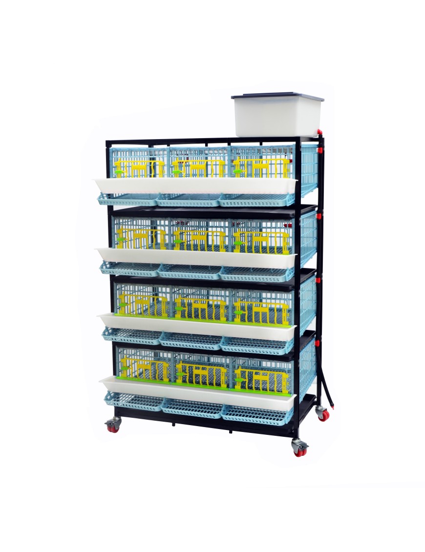 Jaula Para Codornices Ponedoras Jumbo 4 Niveles