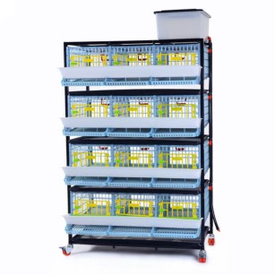 Jaula Para Codornices Ponedoras Jumbo 4 Niveles